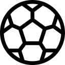 詹若